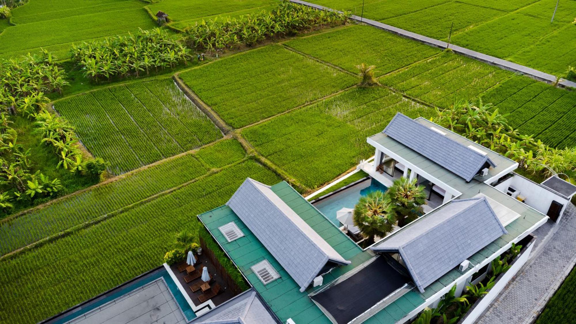 Villa Lina By Balisuperhost Ubud Buitenkant foto
